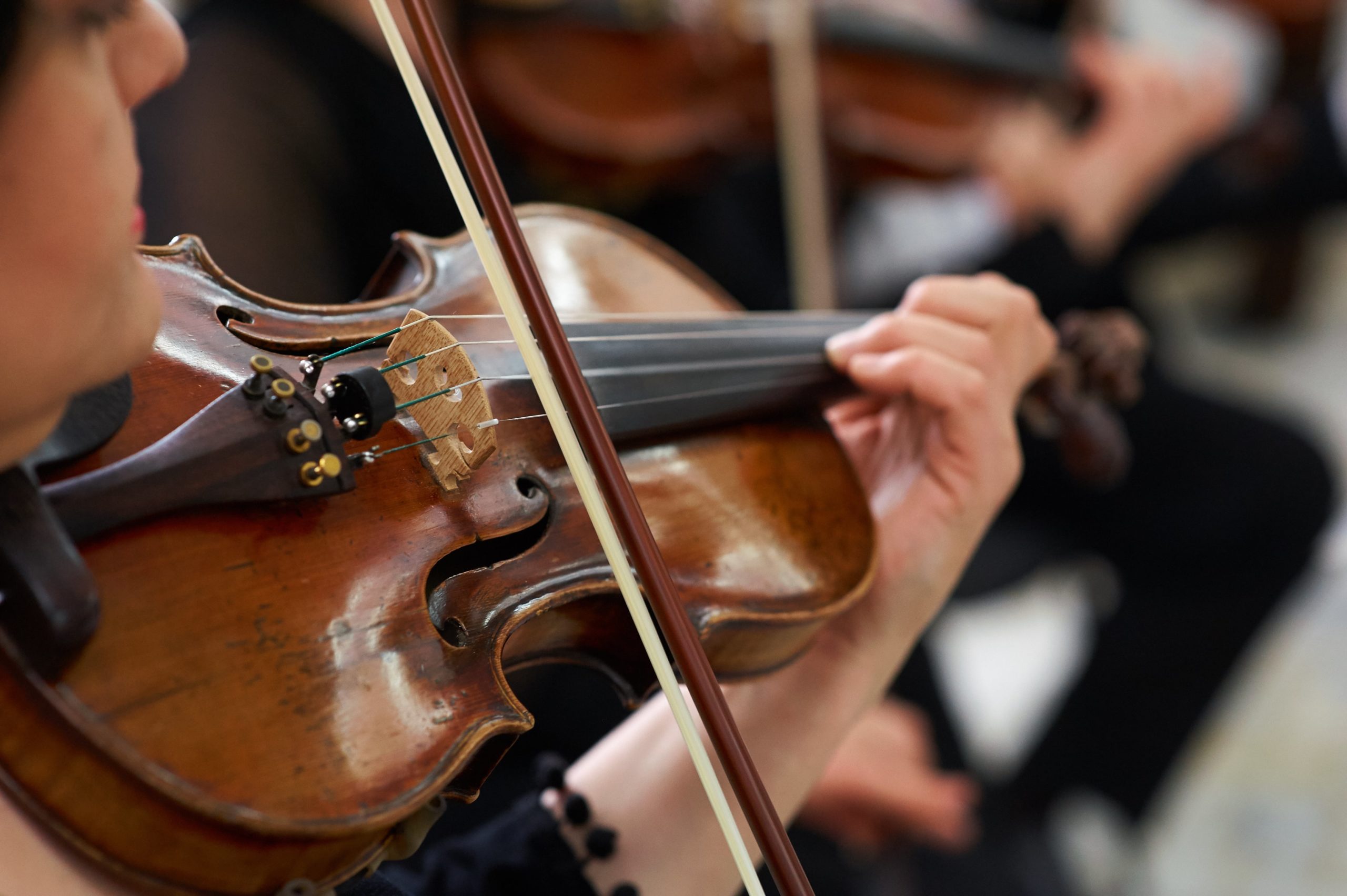 Concert: orchestre de chambre Neue Philharmonie Hamburg sous la direction du Maestro Tigran Mikaelyan